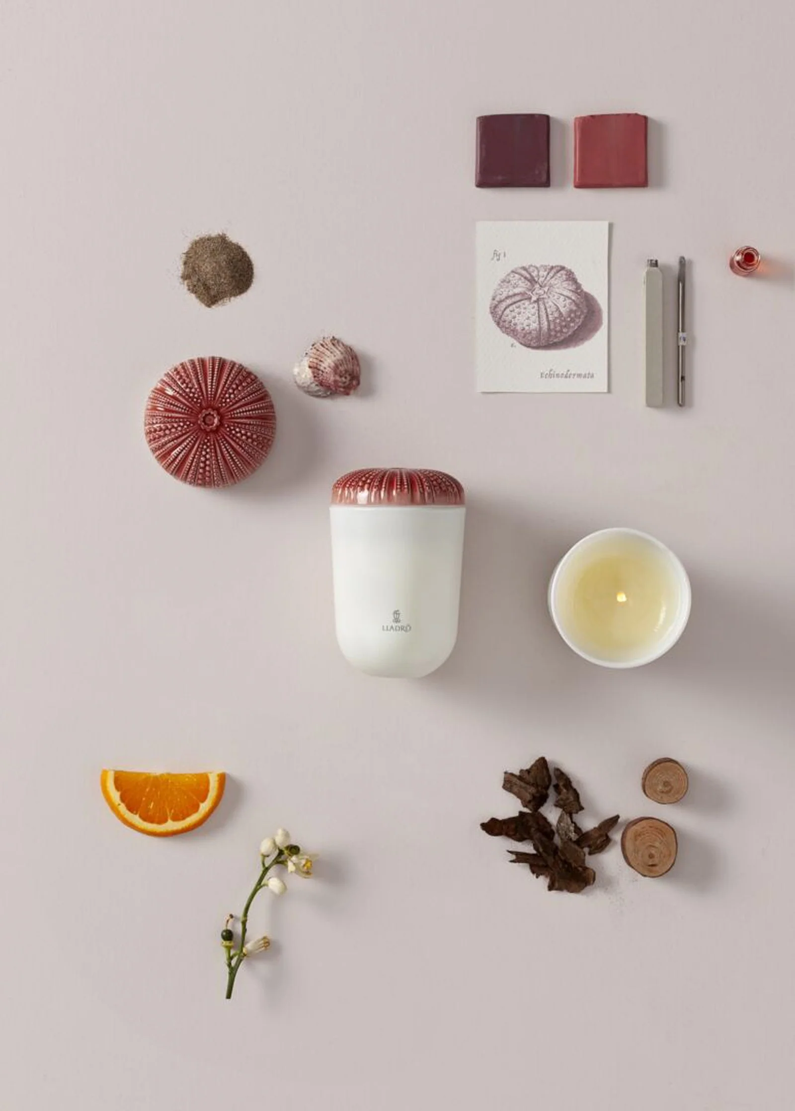 Lladro Echoes of Nature Candle - Image 19