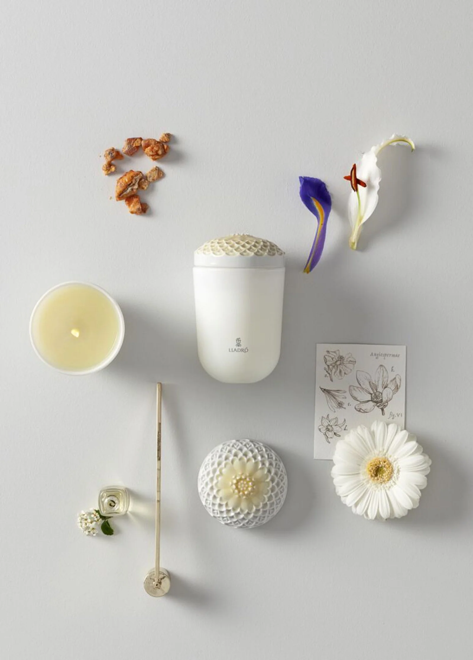 Lladro Echoes of Nature Candle - Image 31