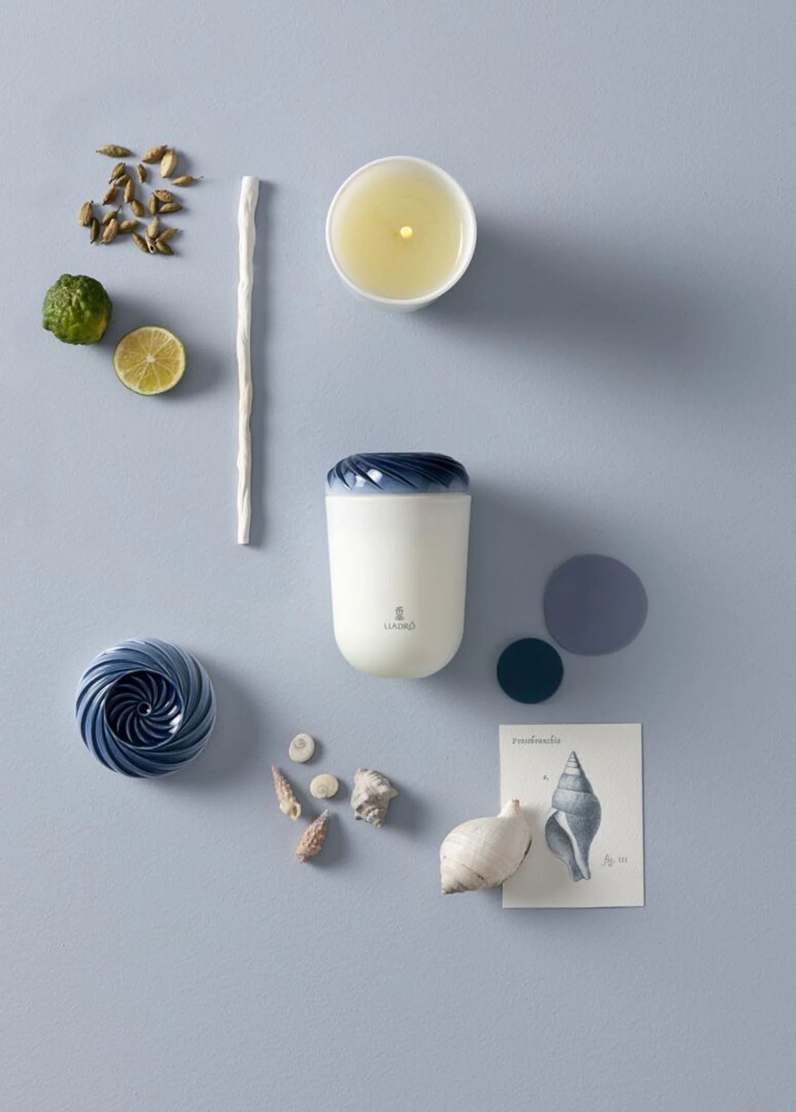 Lladro Echoes of Nature Candle - Image 35