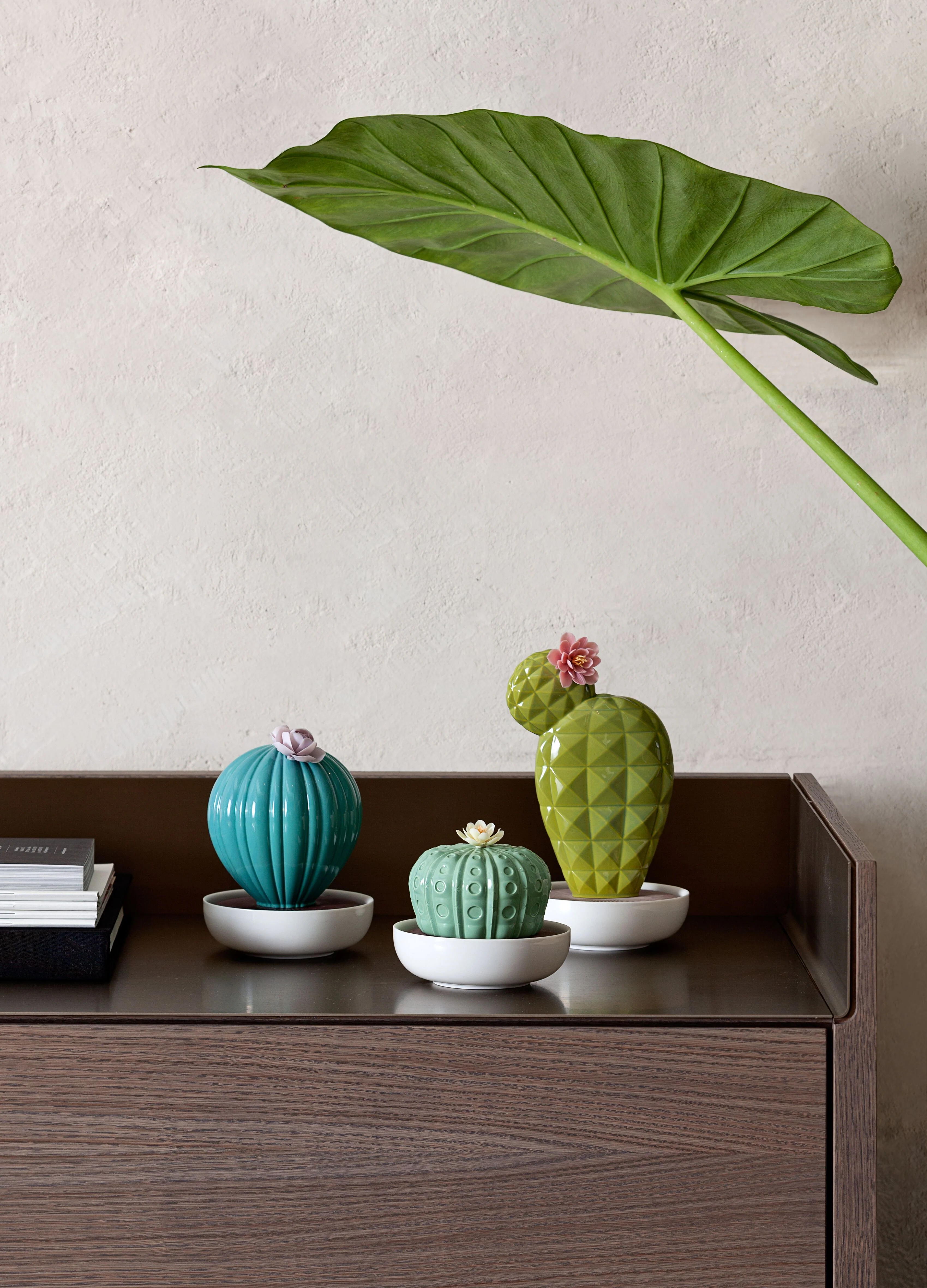 Lladro Ferocactus Cactus Diffuser - Image 4