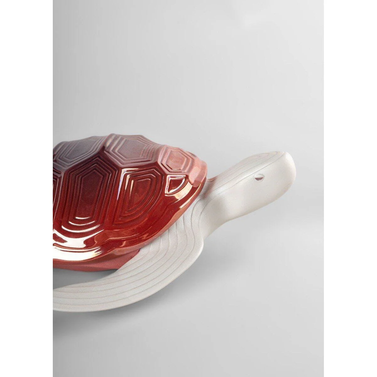 Lladro Little Turtle - Image 5