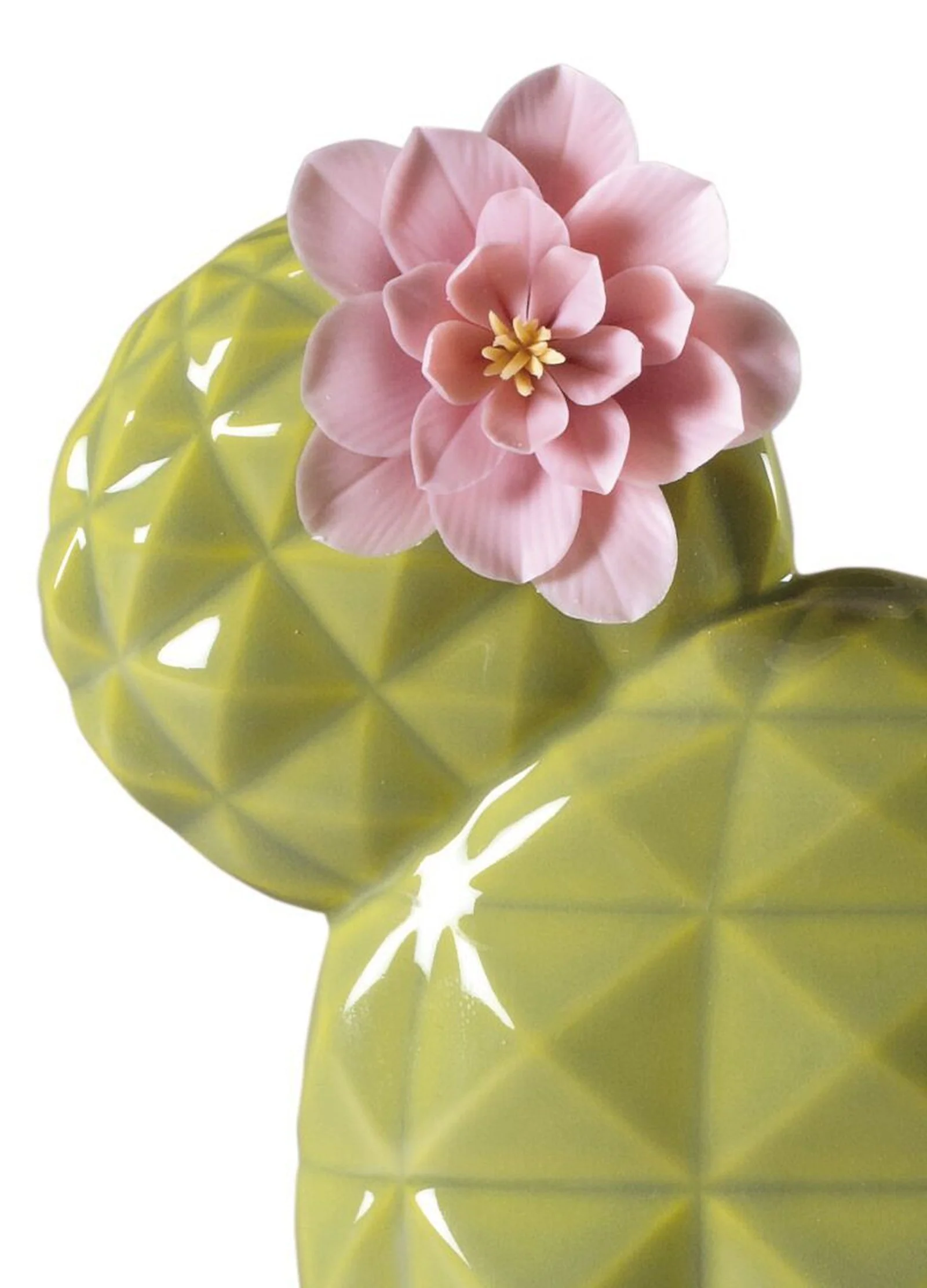 Lladro Opuntia Cactus Diffuser - Image 2