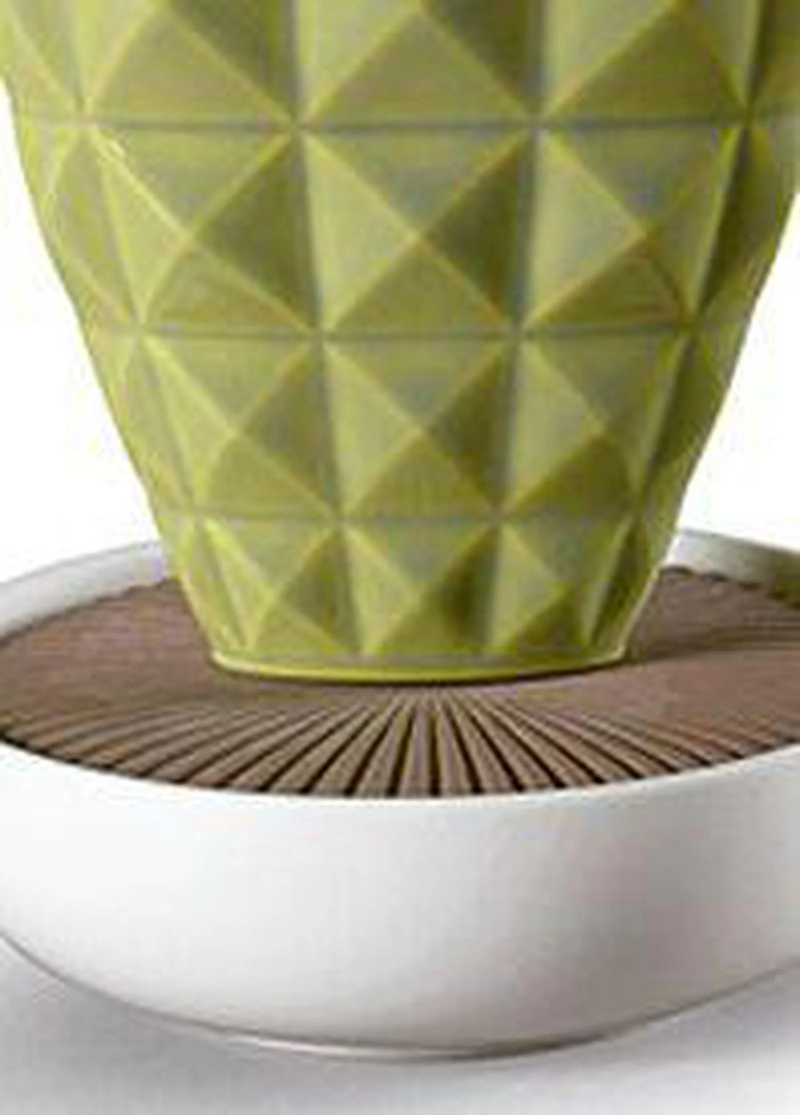 Lladro Opuntia Cactus Diffuser - Image 4