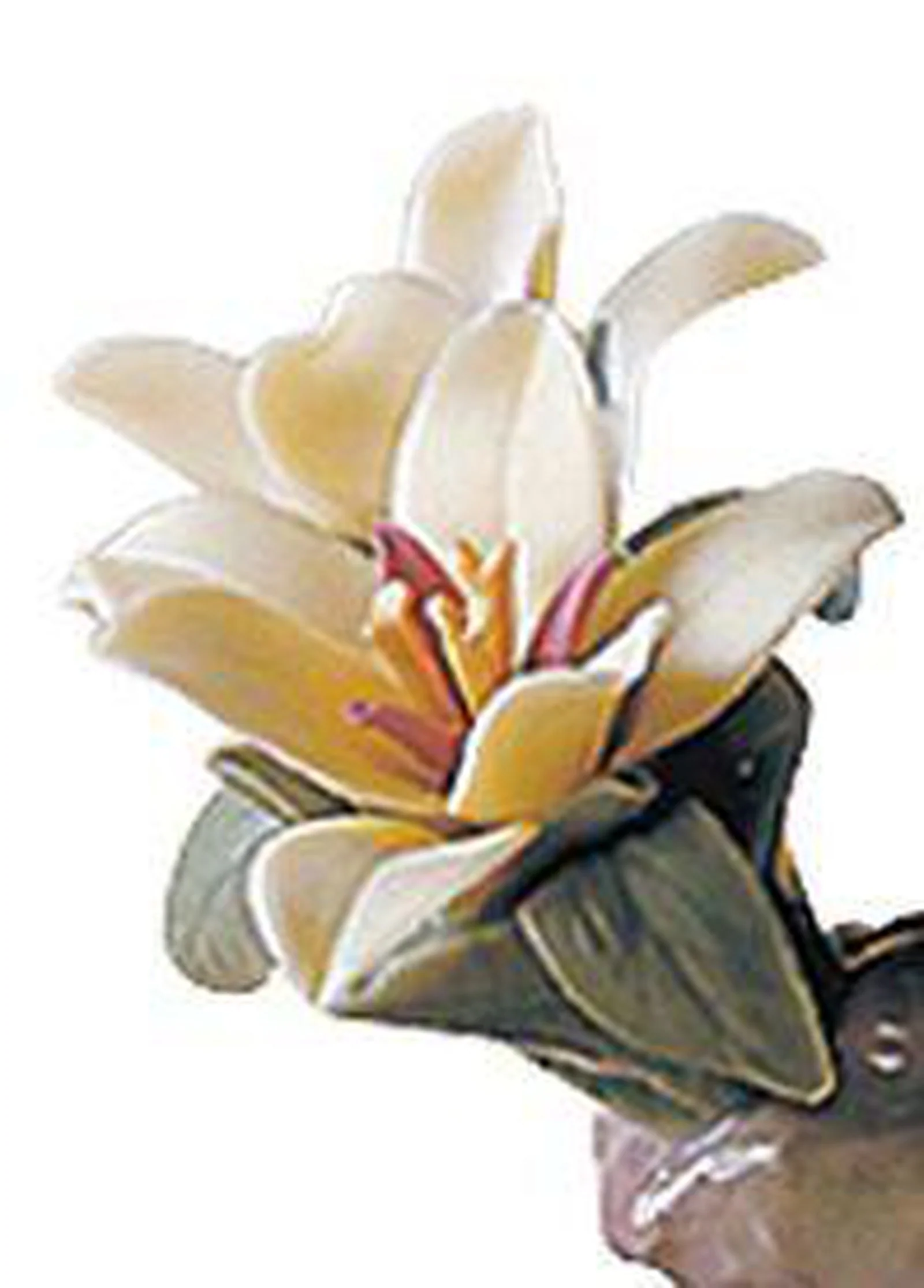 Lladro The Snake Figurine - Image 2