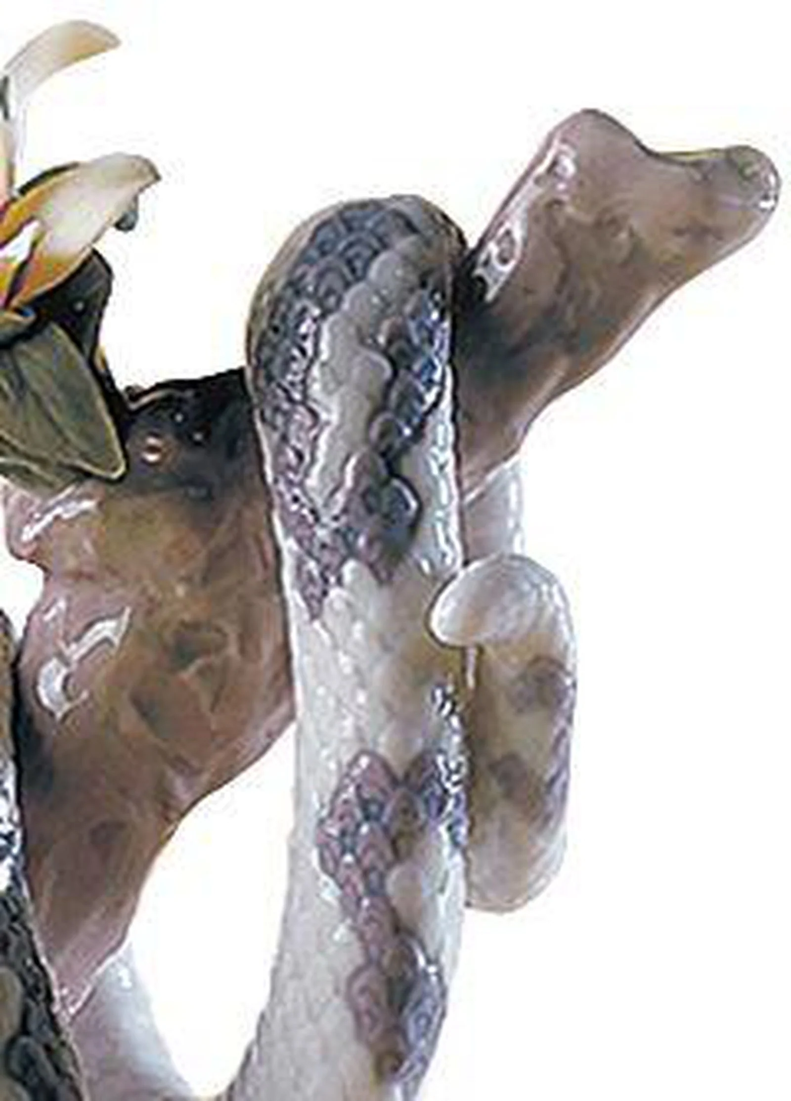 Lladro The Snake Figurine - Image 5