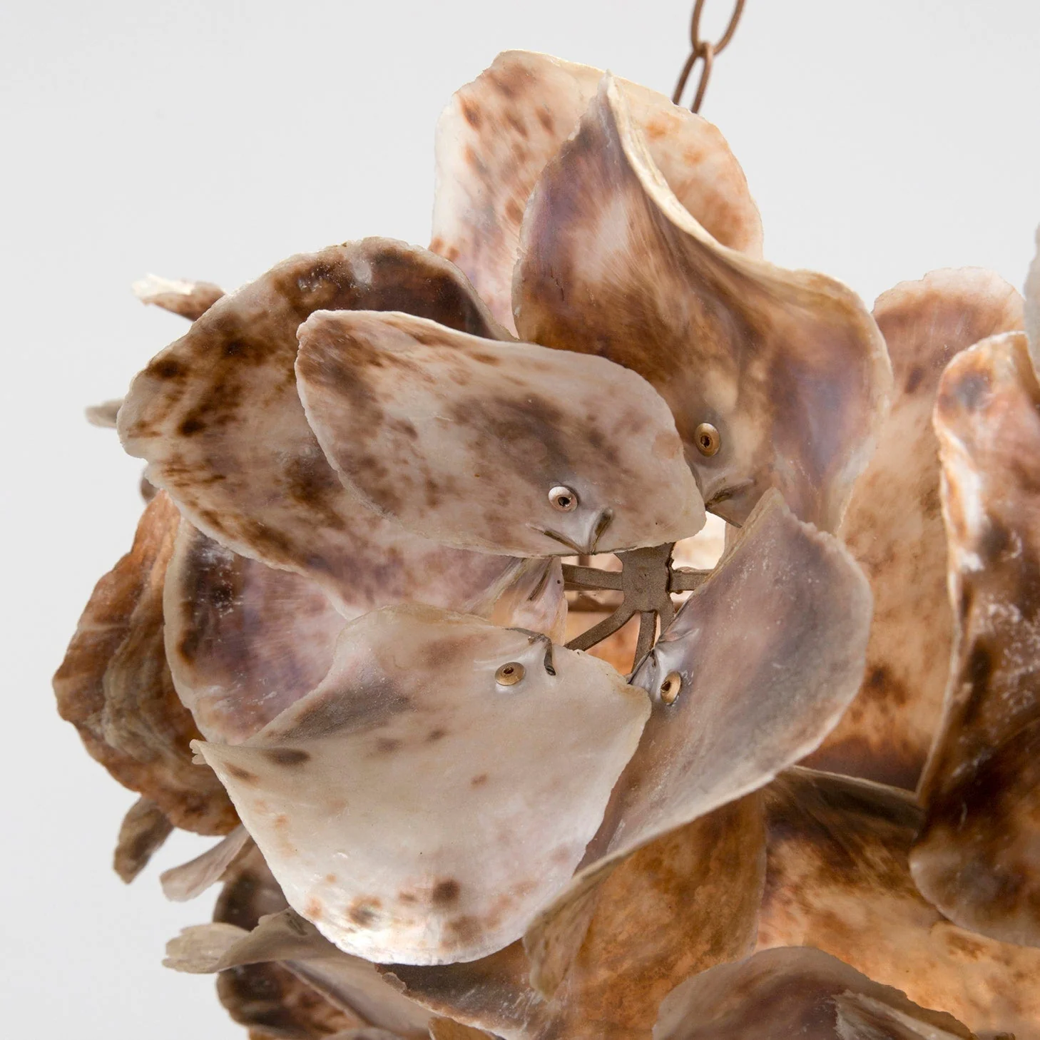 Made Goods Venus Chandelier - Image 11