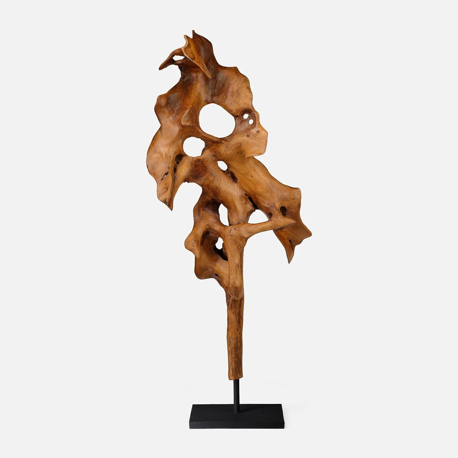 Marcianus Teak Sculpture - Image 15
