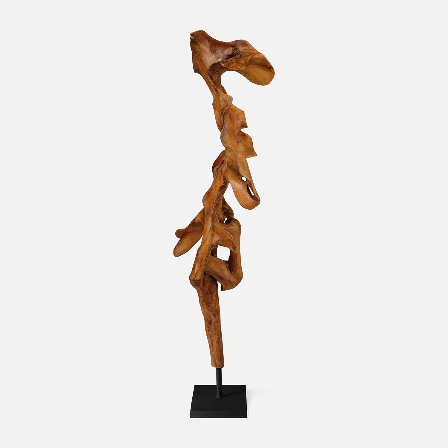 Marcianus Teak Sculpture - Image 17