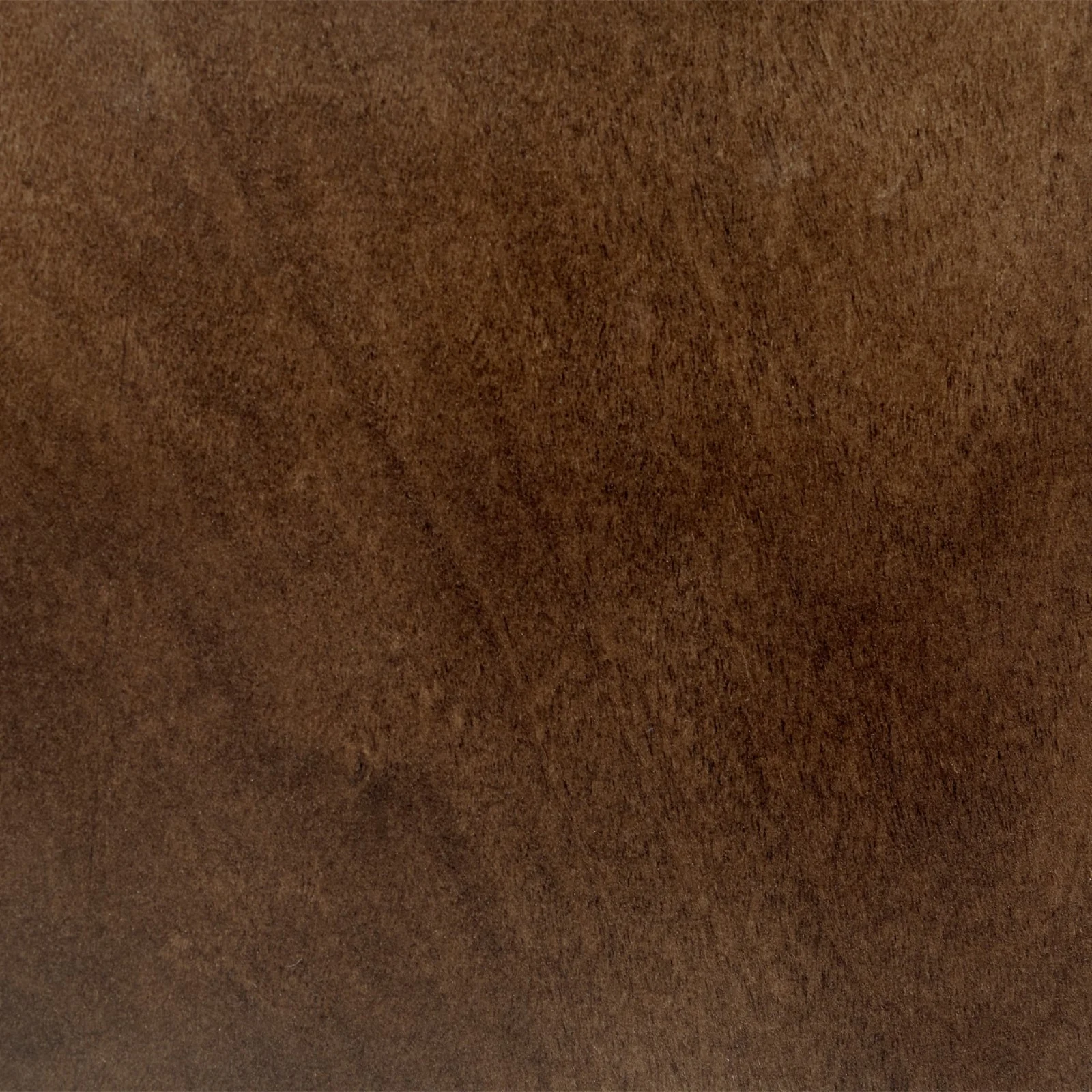 Michael Amini Villa Cherie Dresser - Hazelnut - Image 11