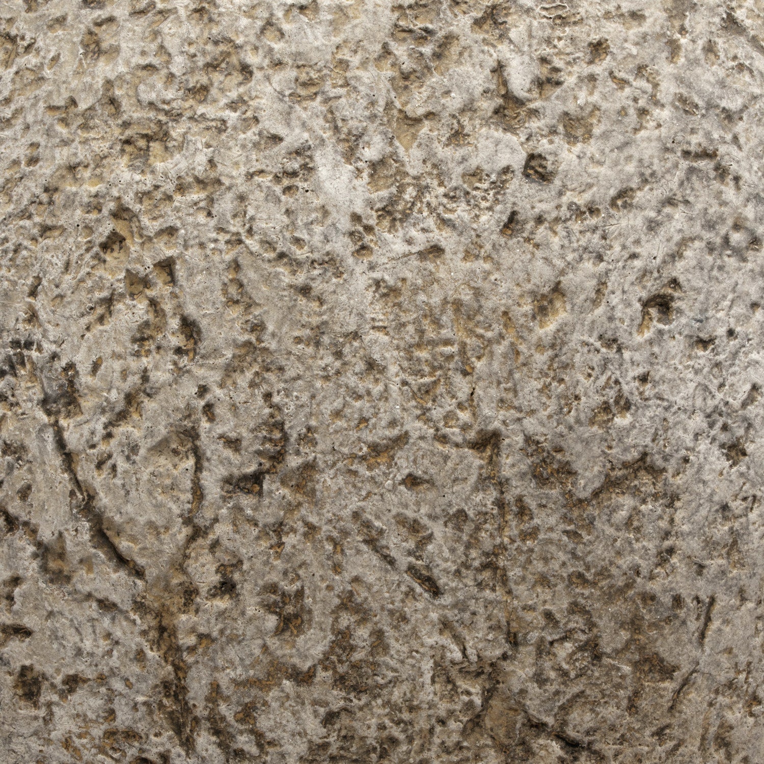 Molly Decorative Cement Sphere - Set of 2 - Image 4