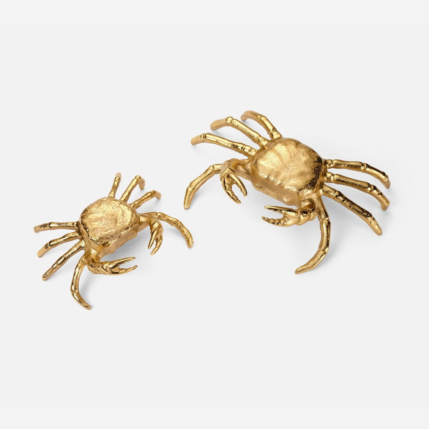 Moorea Decorative Shell Sculpture - Set of 2 - Image 12