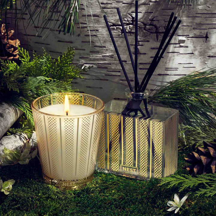Nest Birchwood Pine Classic Candle & Diffuser Set - Image 3