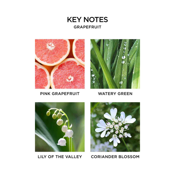 Nest Grapefruit Reed Diffuser - Image 5