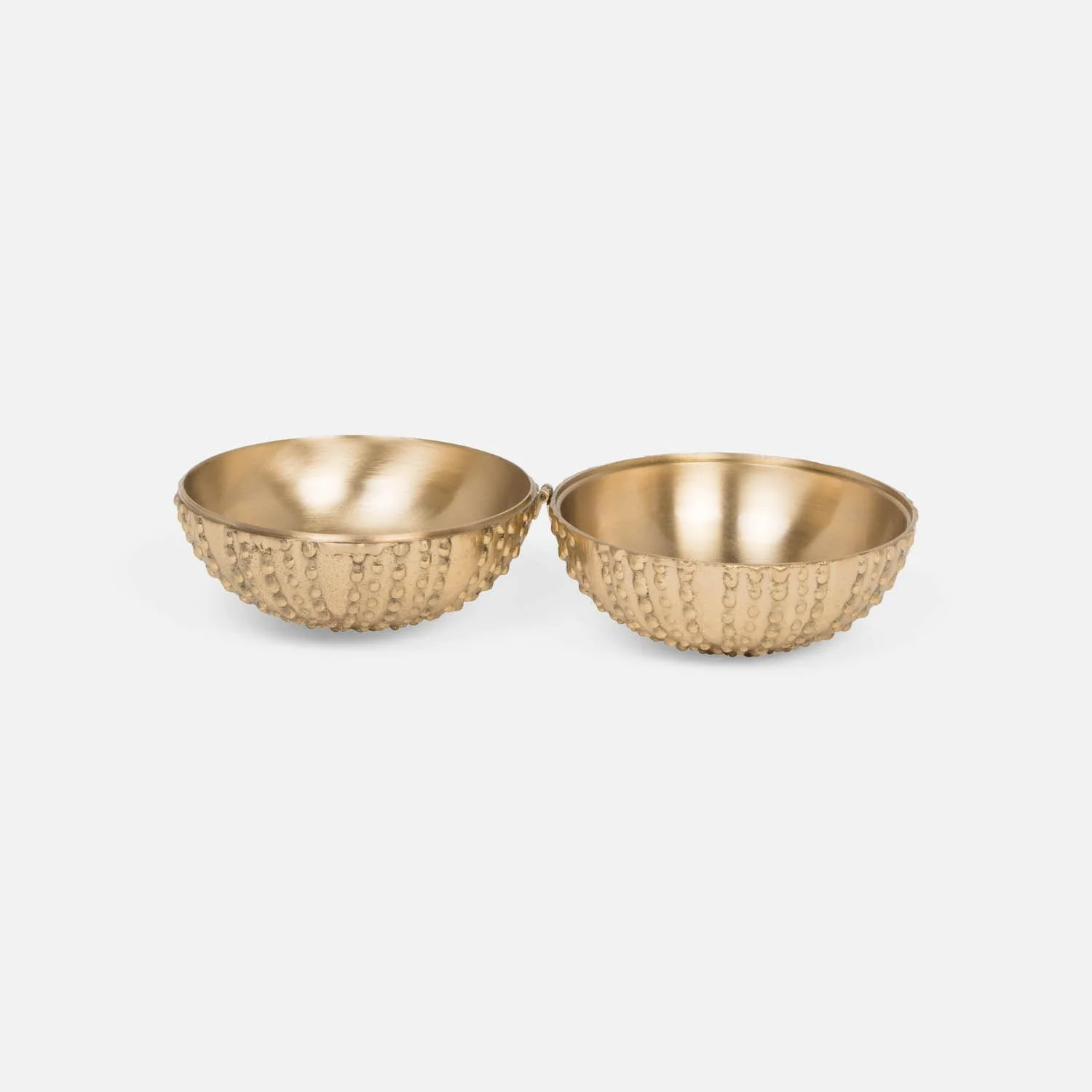 Obelia Urchin Brass Box - Image 3