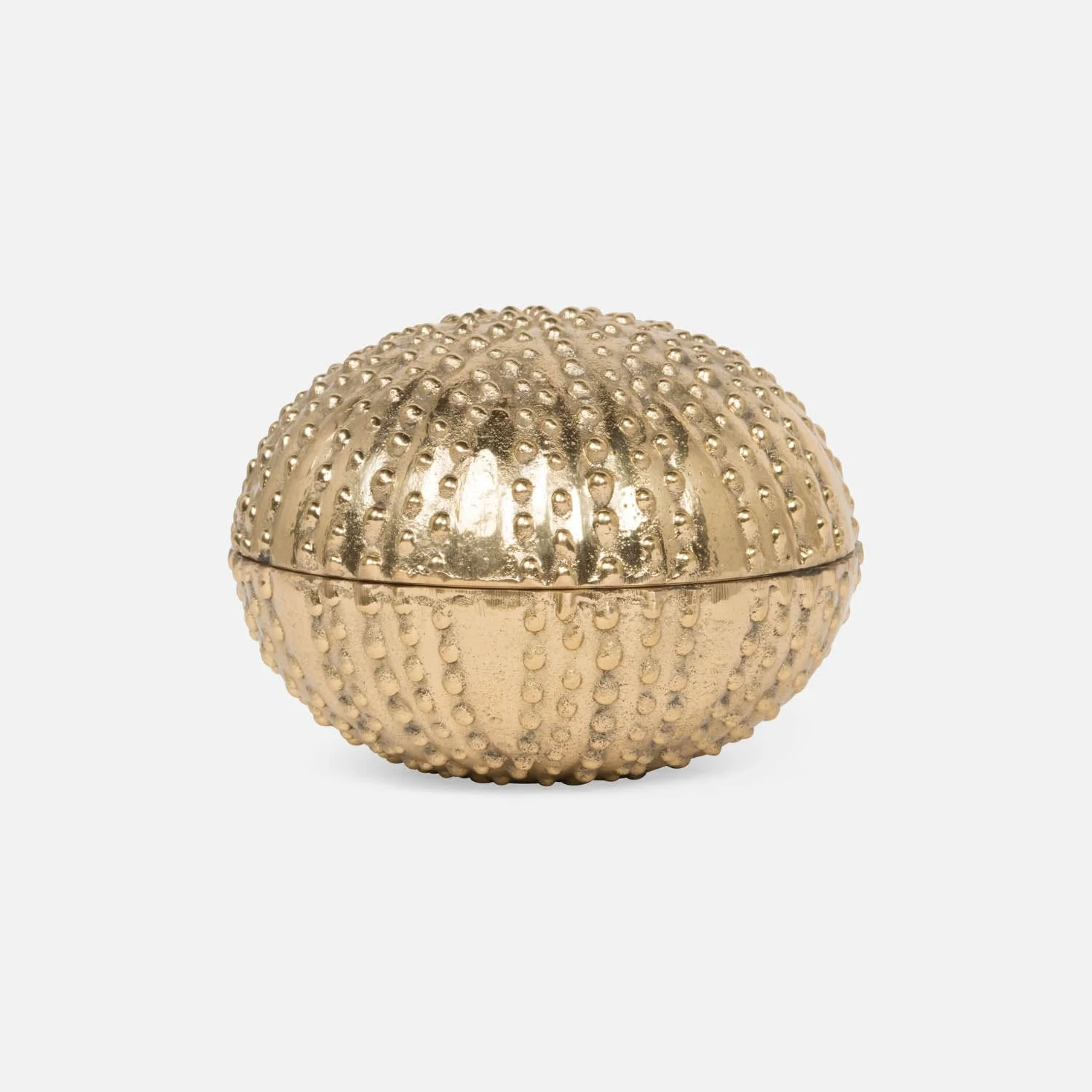 Obelia Urchin Brass Box - Image 4