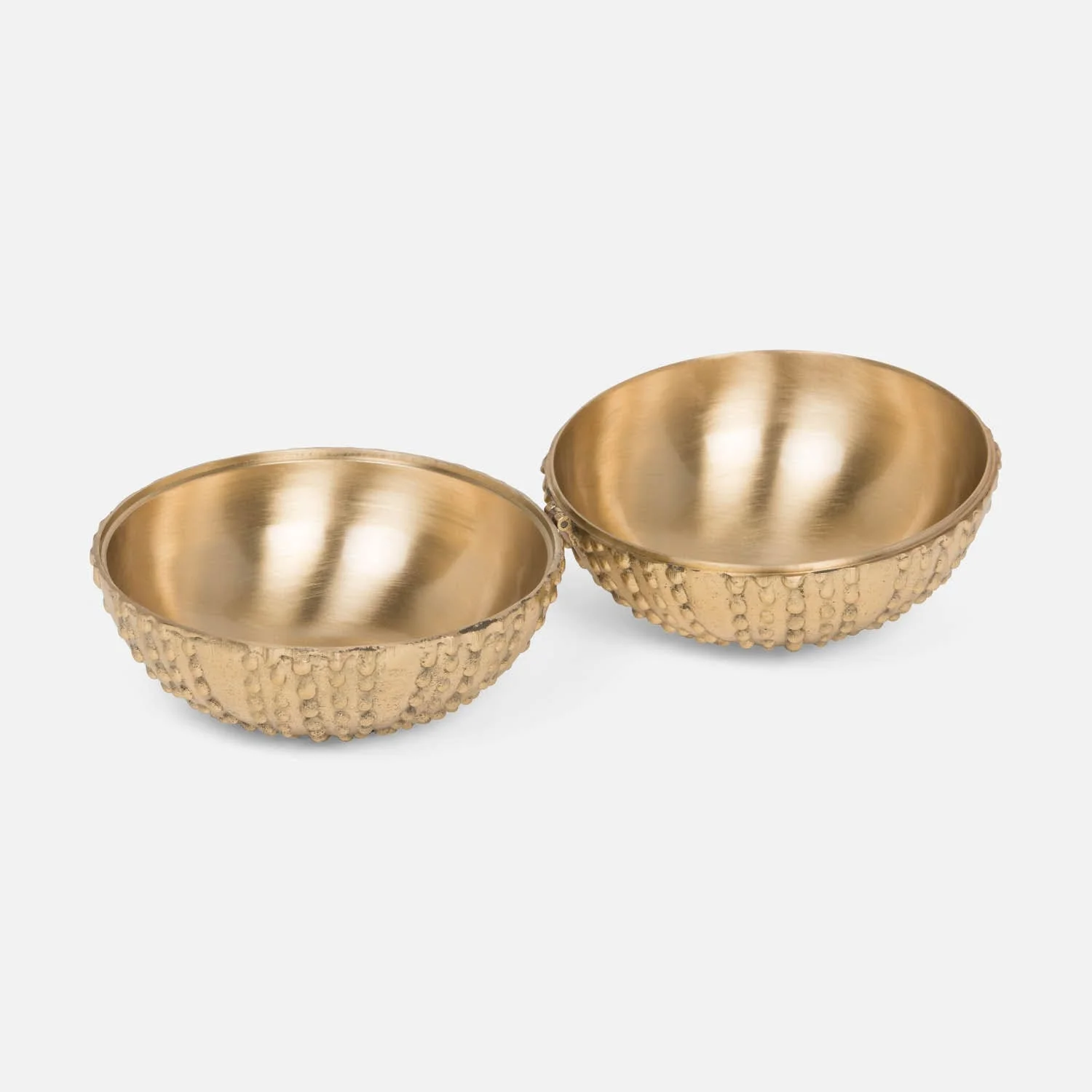 Obelia Urchin Brass Box - Image 8