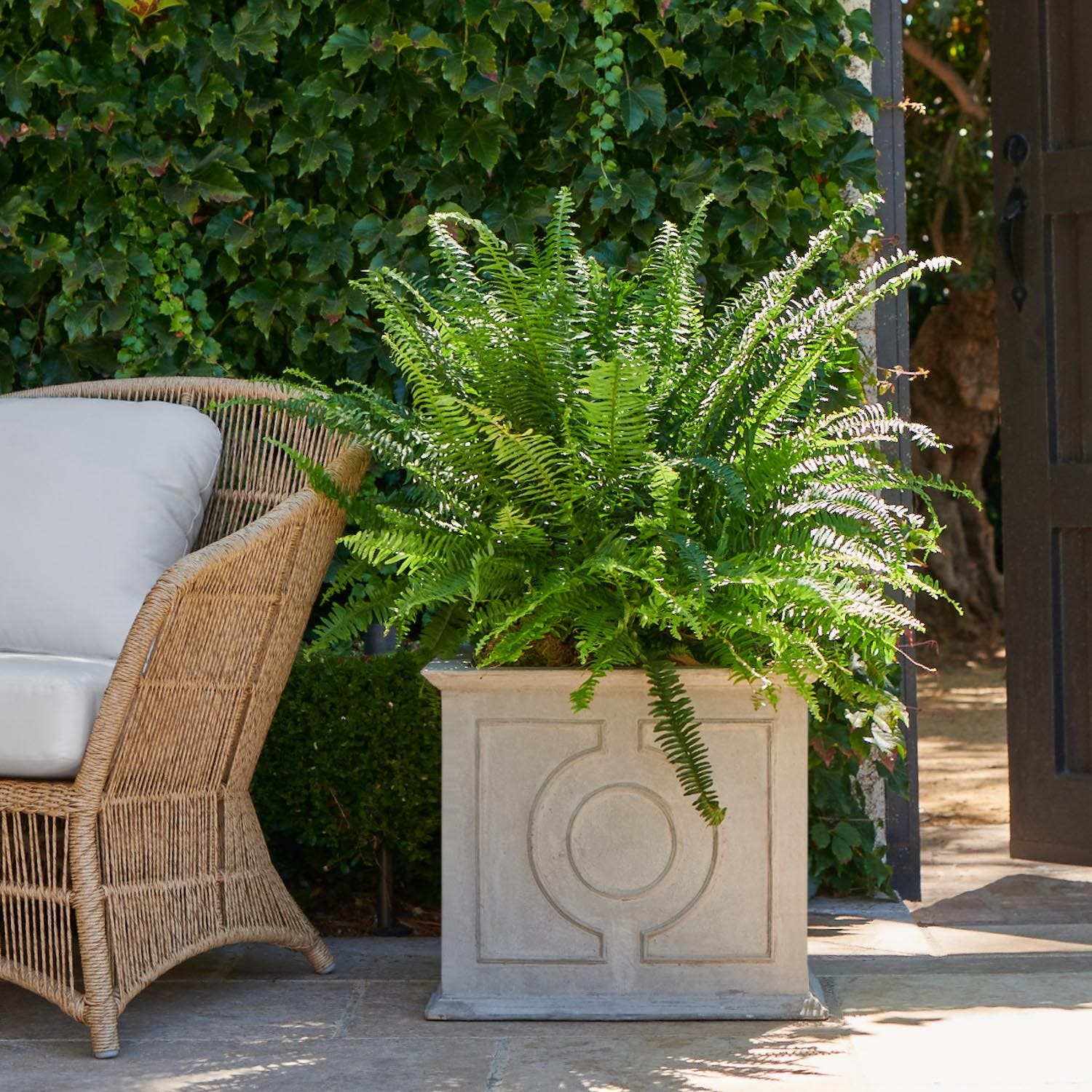Odera Box Planter - Image 2