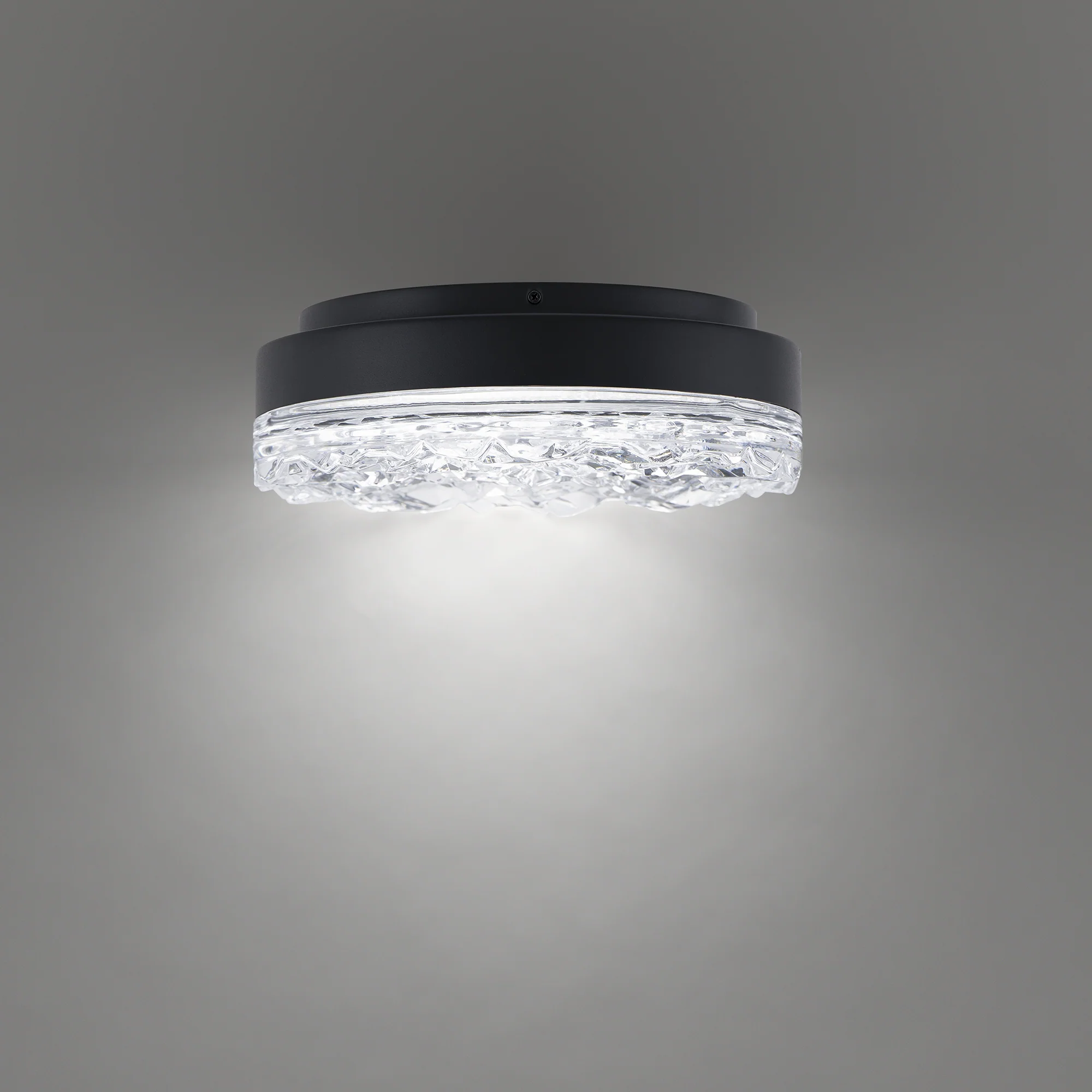 Schonbek Bramble BFM96412 Flush Mount - Image 5