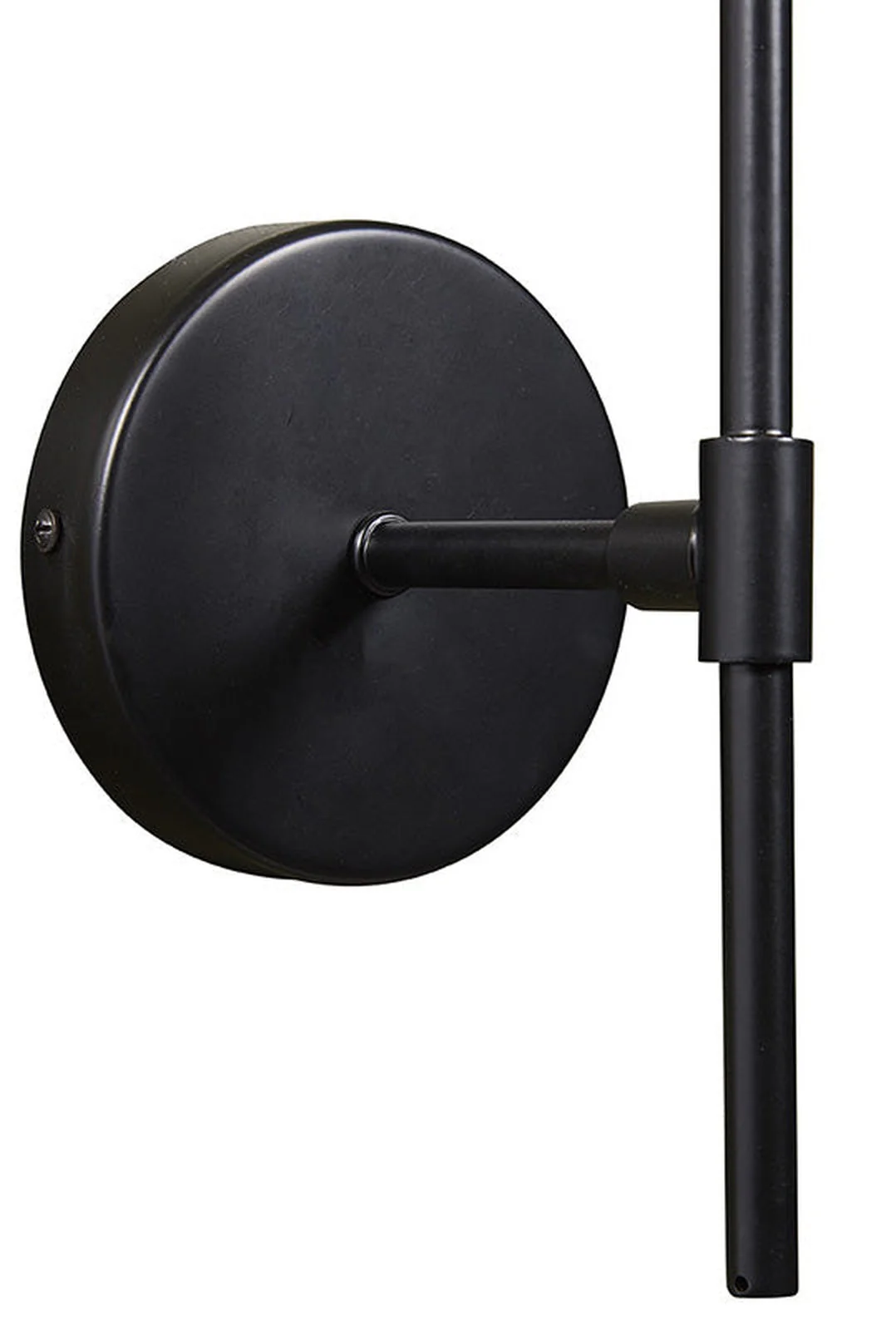 Sunpan Izora Sconce - Image 4