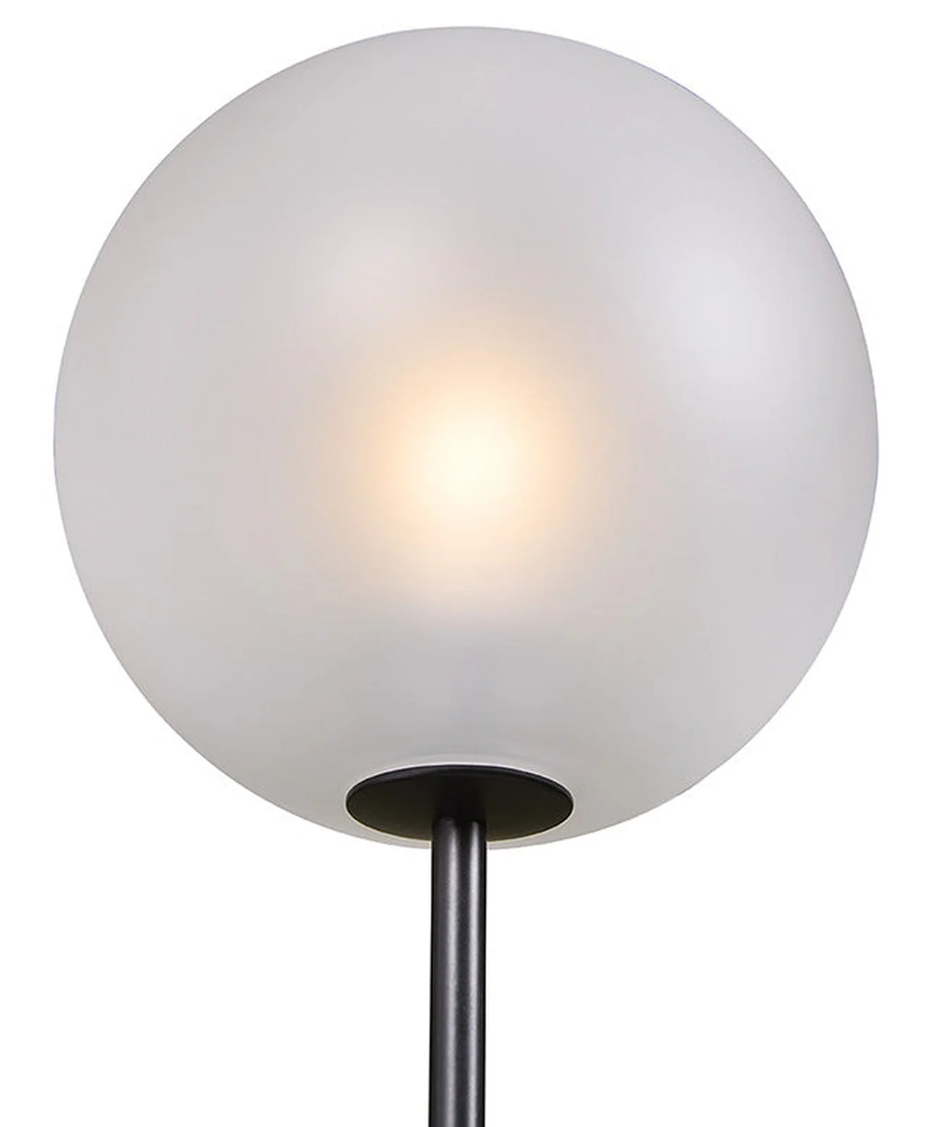 Sunpan Izora Sconce - Image 5