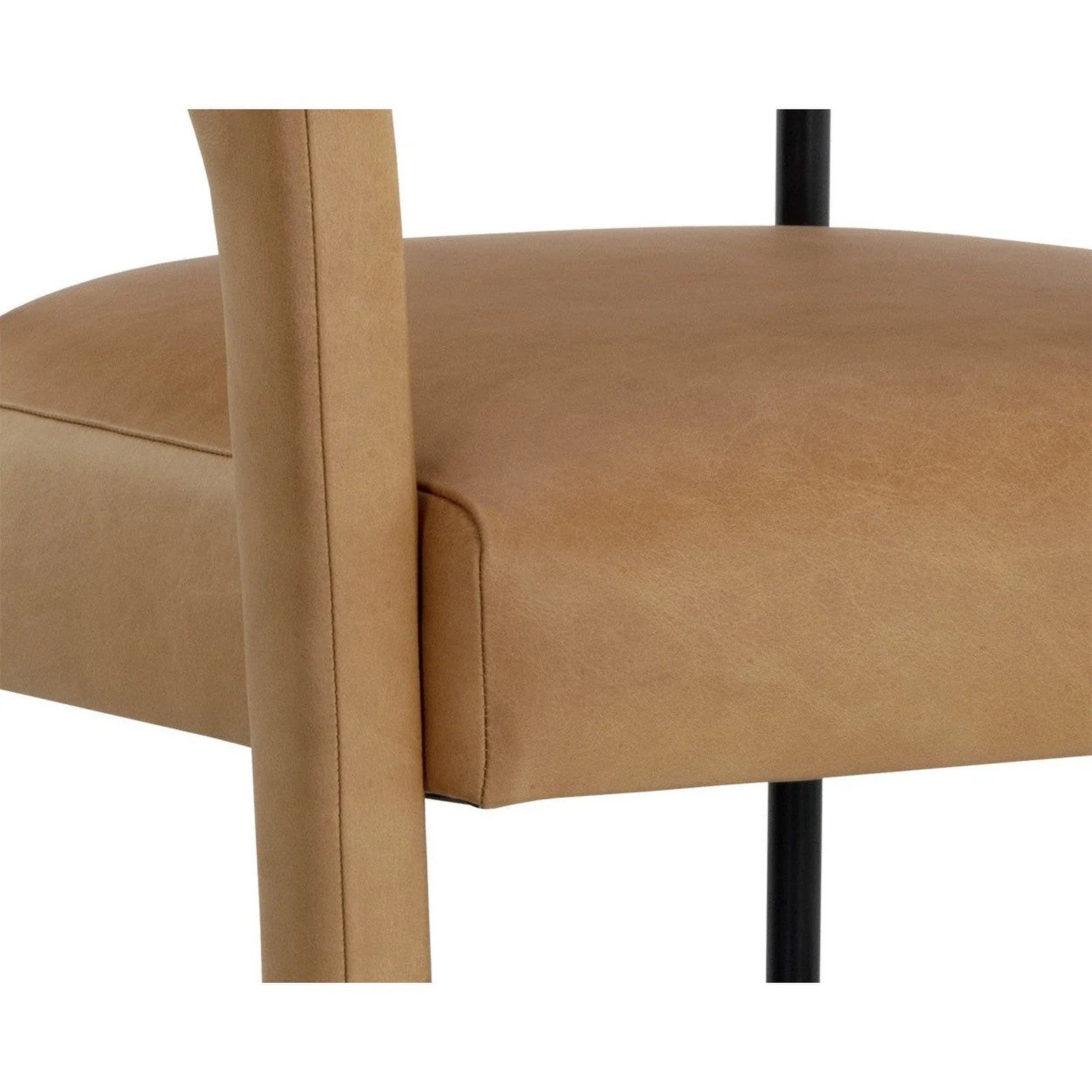 Sunpan Mavia Dining Armchair - Image 6