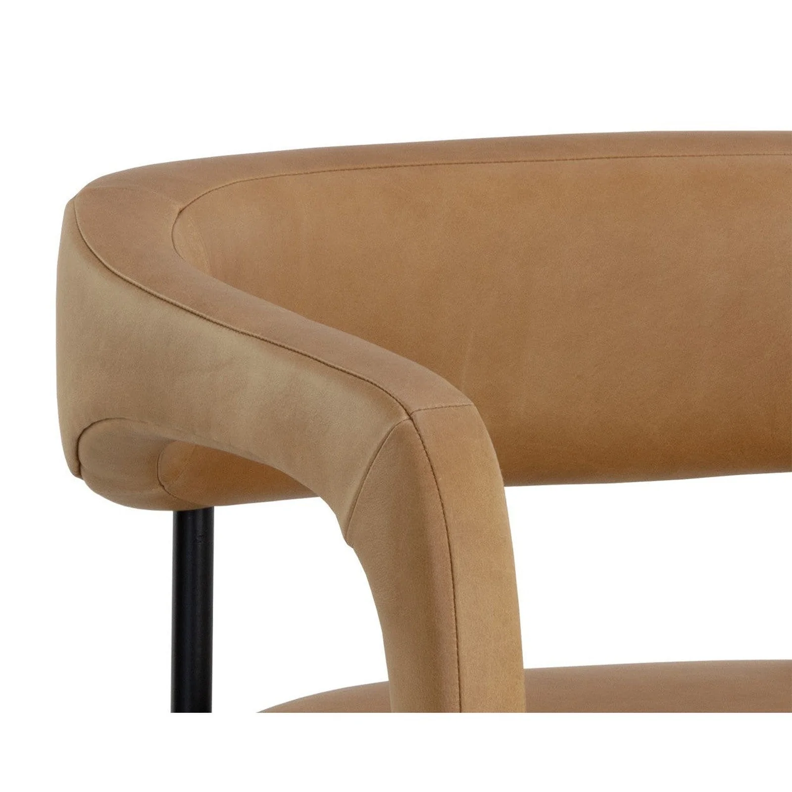 Sunpan Mavia Dining Armchair - Image 7