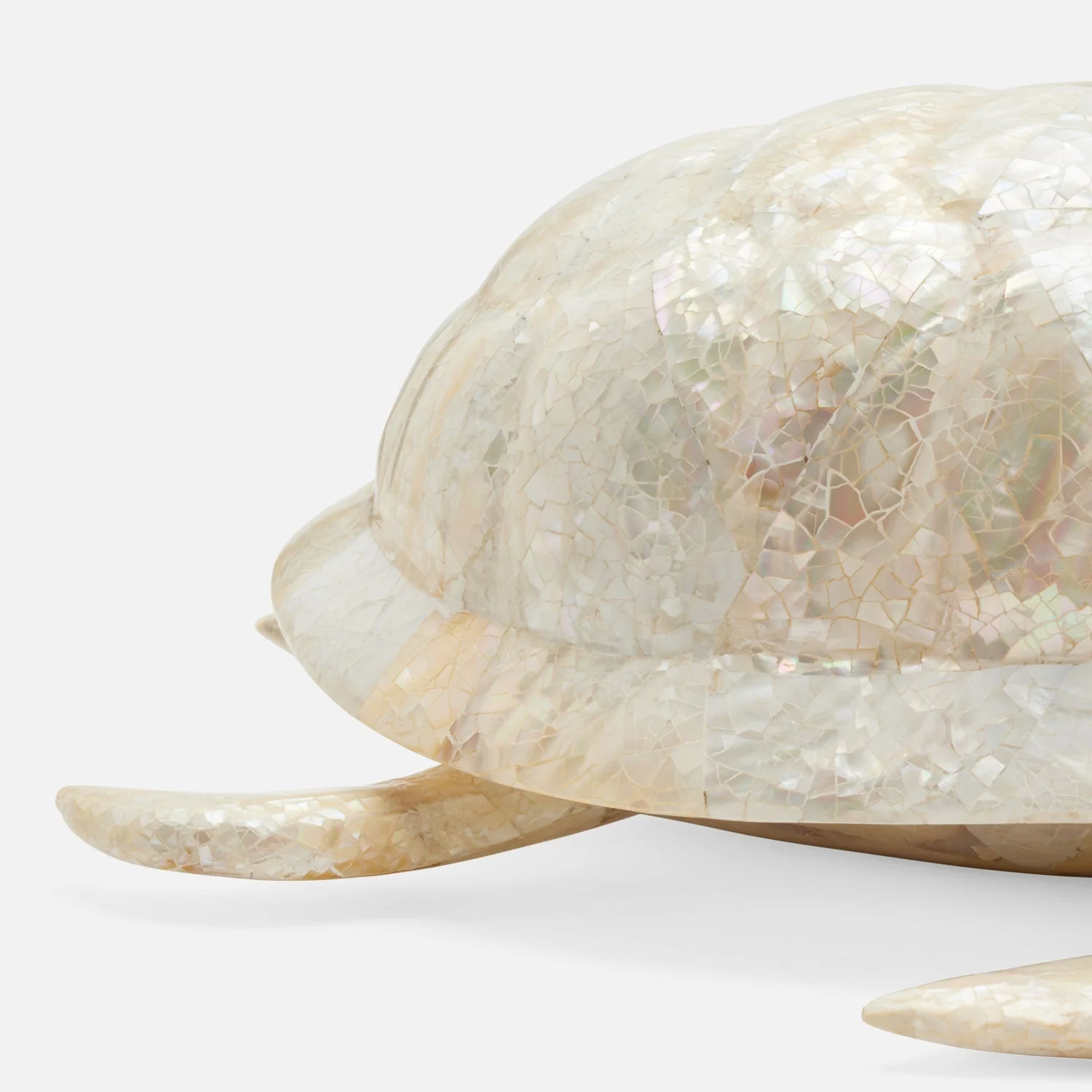 Theodore Amber Tortoise Object - Image 10