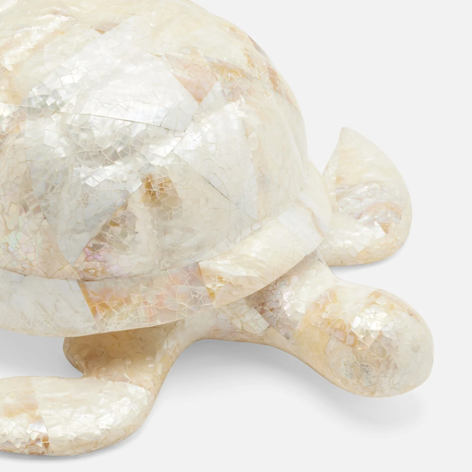 Theodore Amber Tortoise Object - Image 11