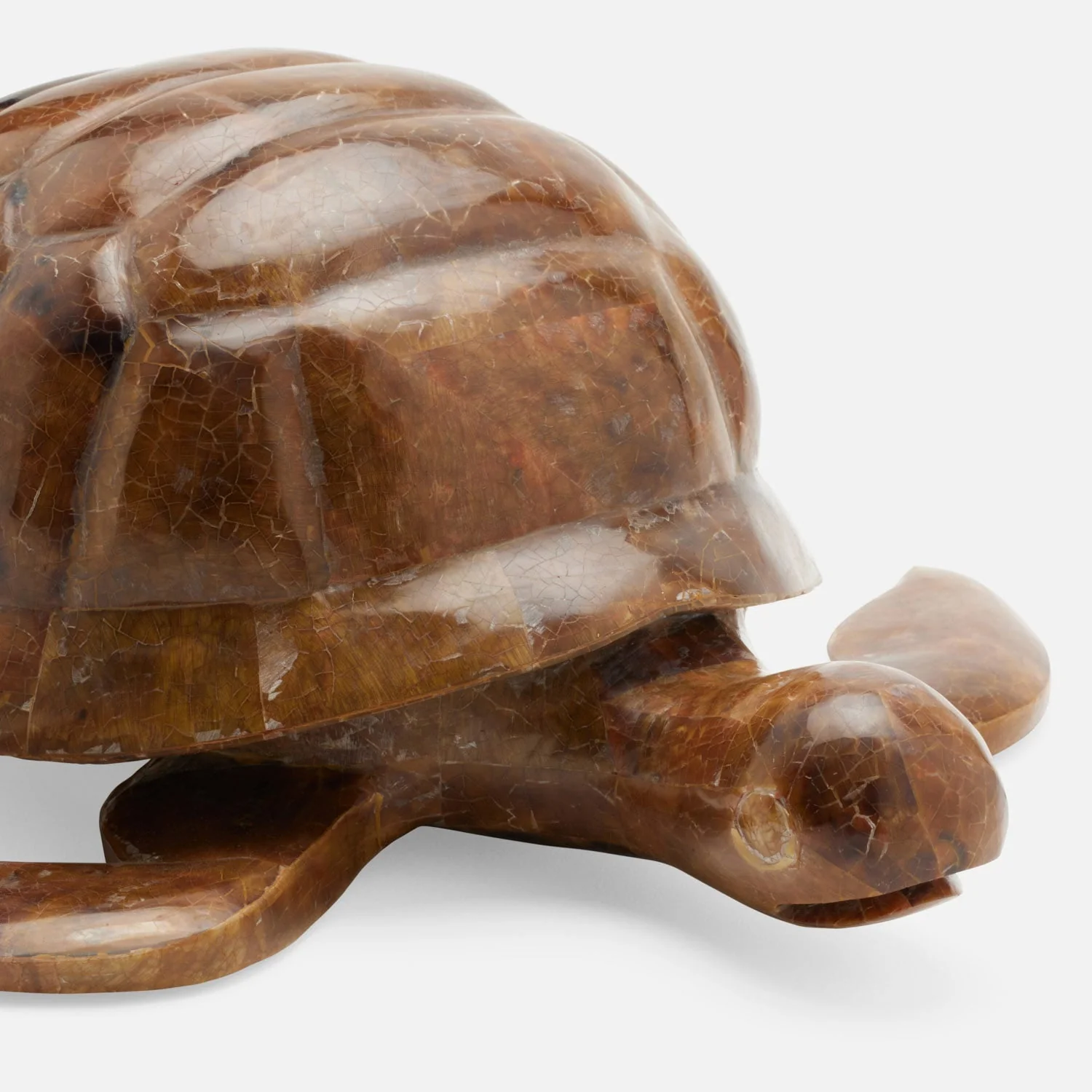 Theodore Amber Tortoise Object - Image 5