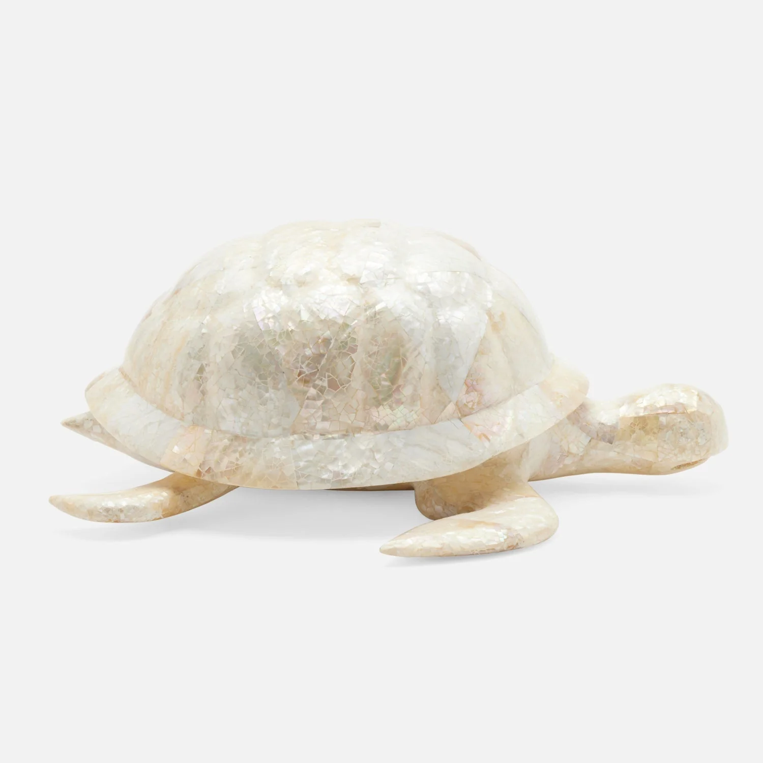 Theodore Amber Tortoise Object - Image 9