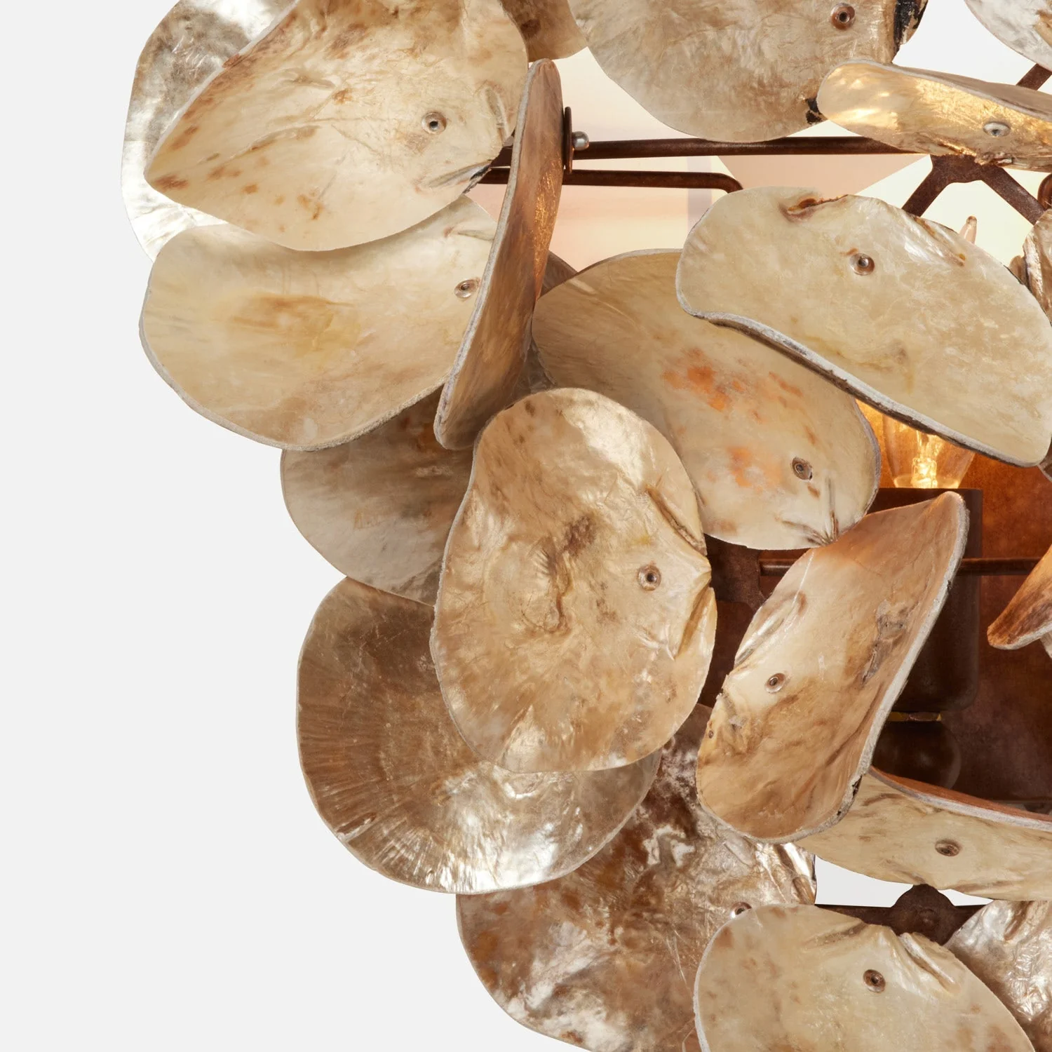 Venus Wall Sconce - Image 4