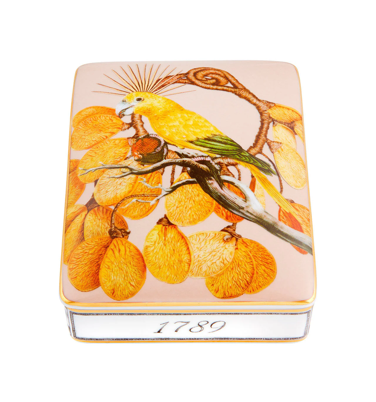 Vista Alegre Amazonia Card Box - Image 2