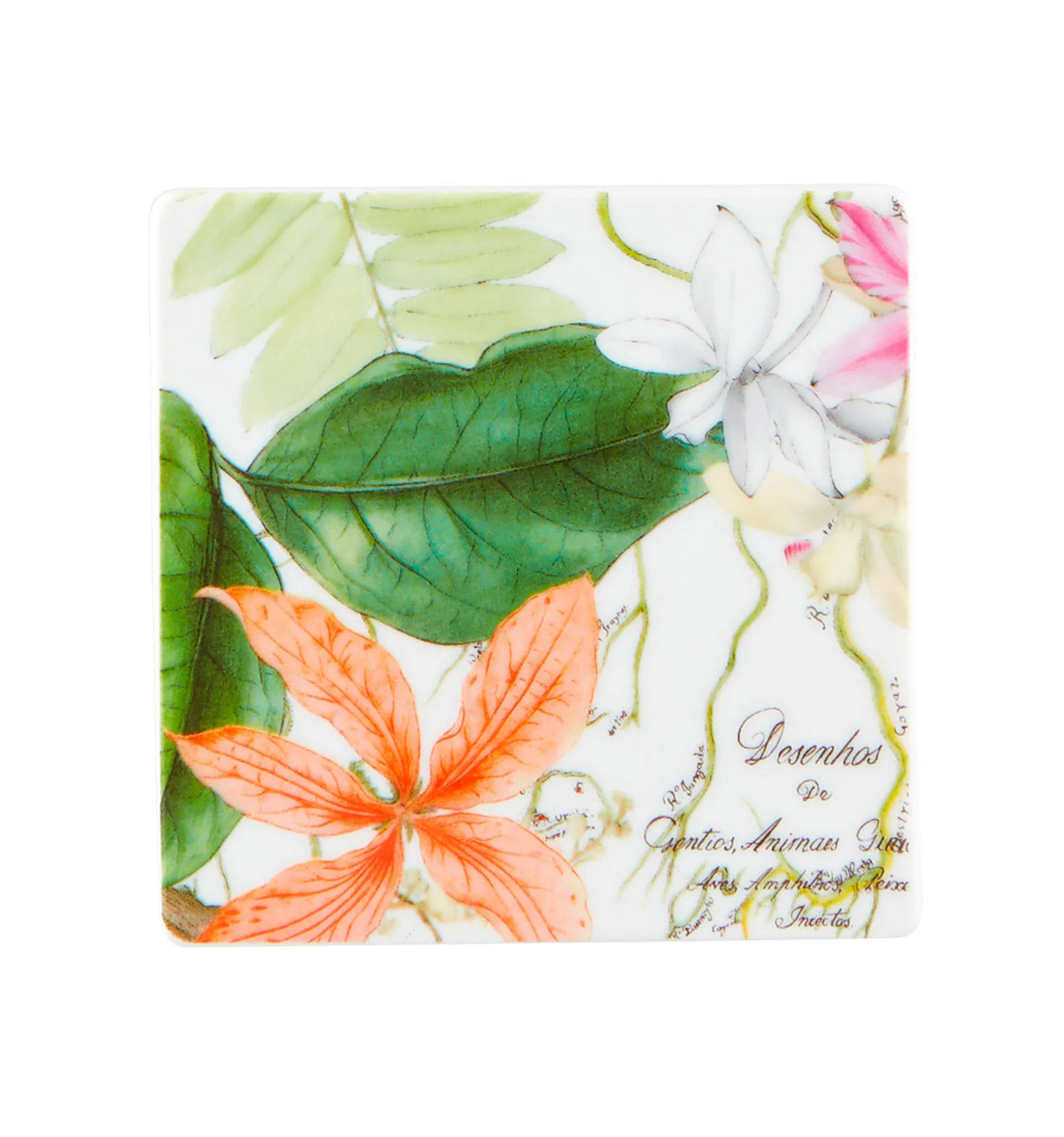 Vista Alegre Amazonia Coasters - Set of 4 - Image 2