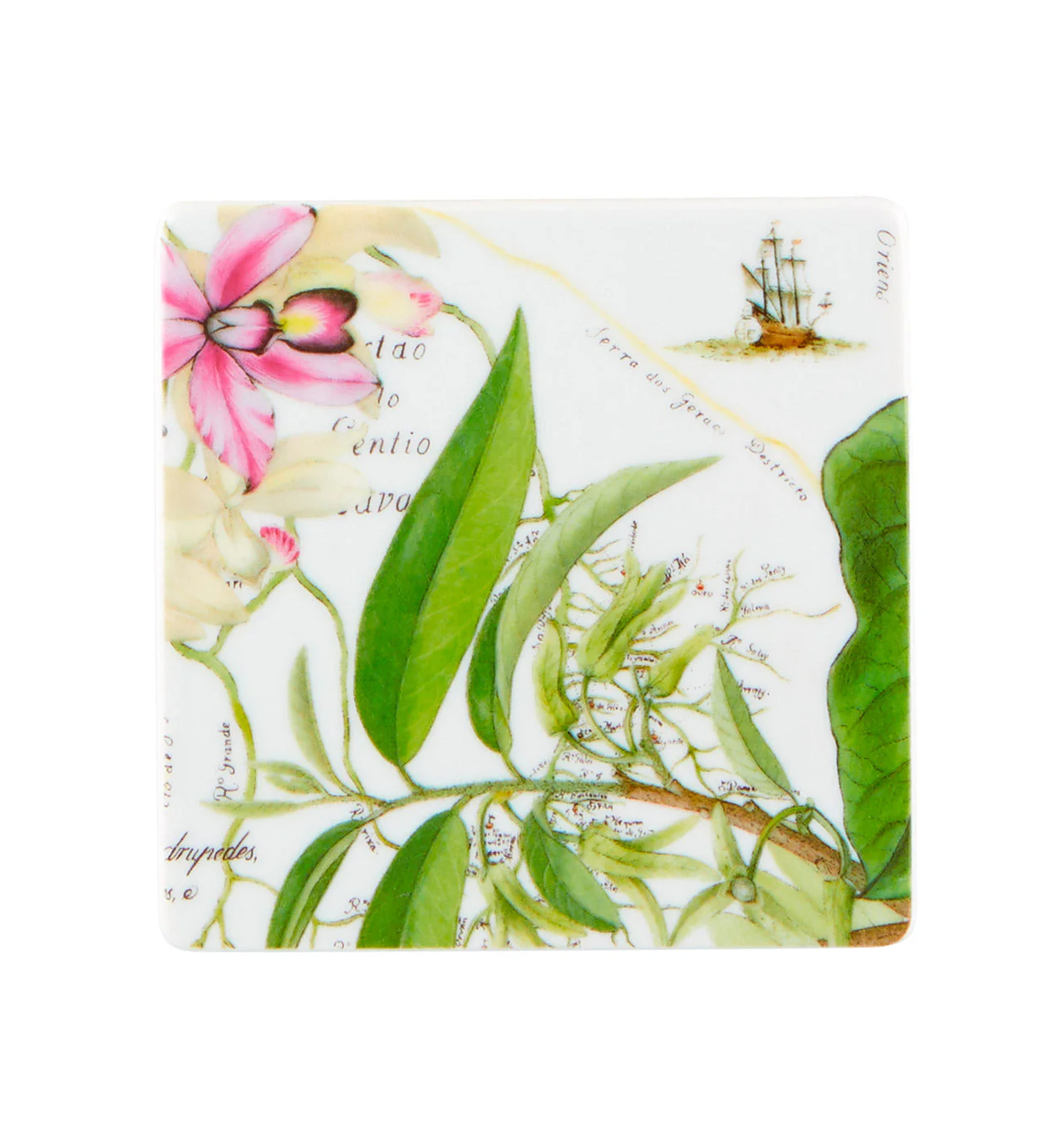 Vista Alegre Amazonia Coasters - Set of 4 - Image 3