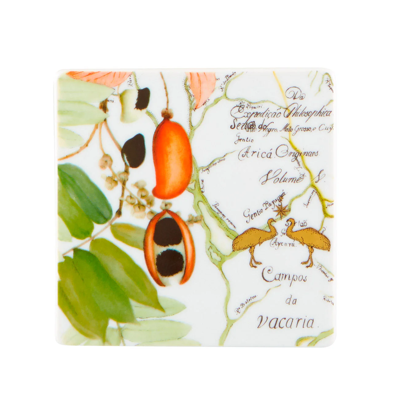 Vista Alegre Amazonia Coasters - Set of 4 - Image 4
