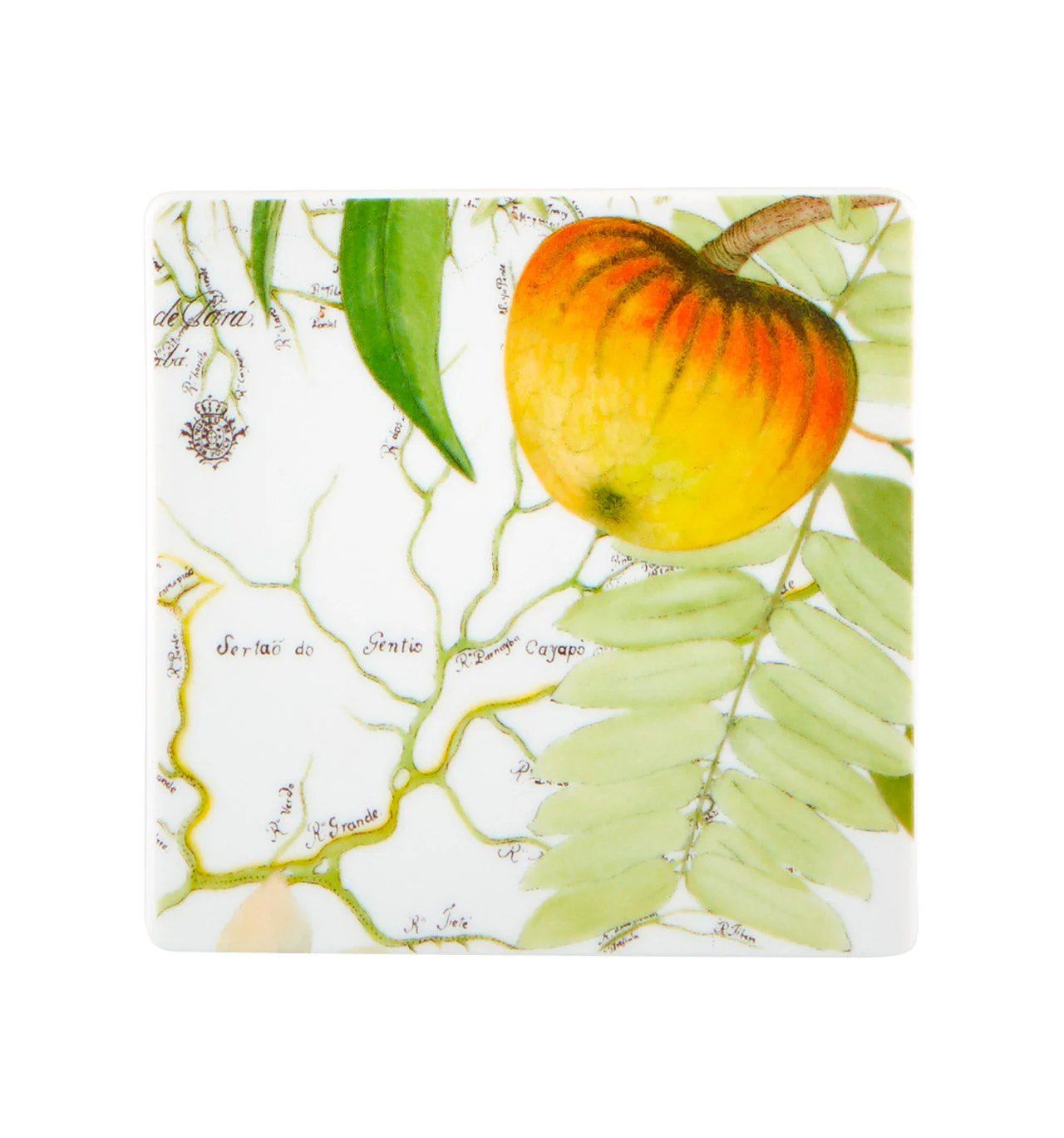 Vista Alegre Amazonia Coasters - Set of 4 - Image 5