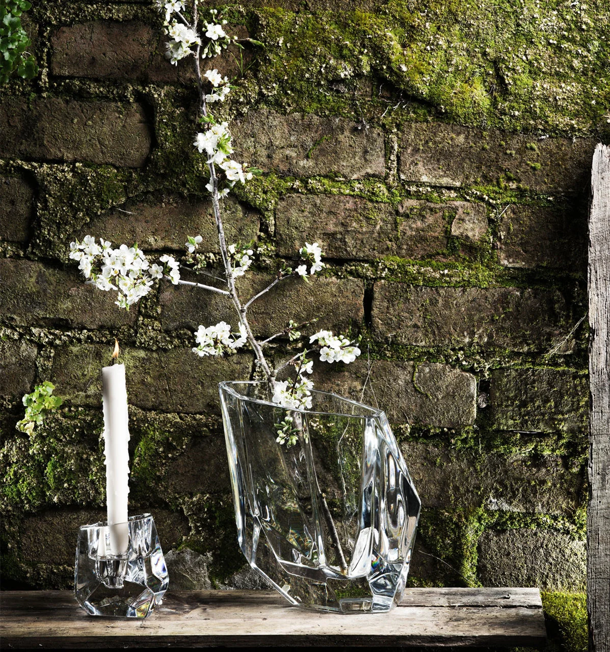 Vista Alegre Exotica Case with Vase - Image 2