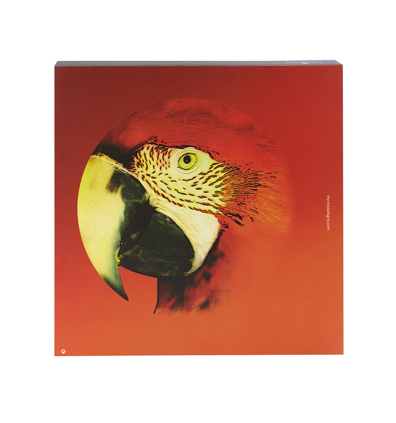 Vista Alegre Olhar O Brasil Charger Plate Red Macaw By Chico Gouveia - Image 2
