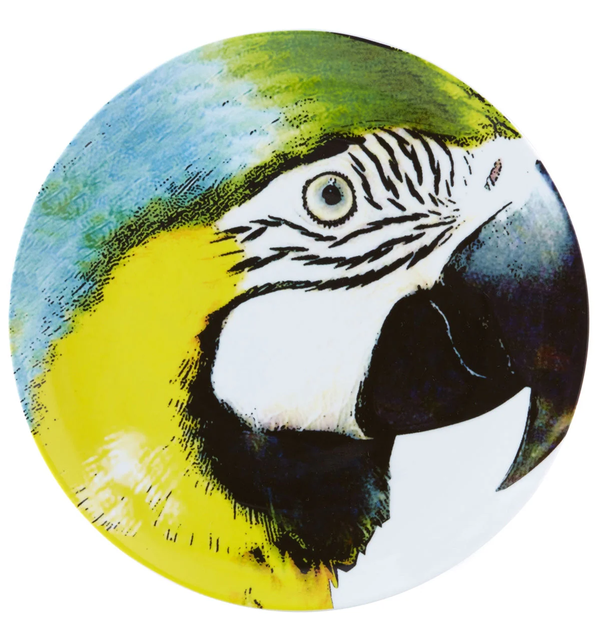 Vista Alegre Olhar O Brasil Charger Plate Yellow Bellied Macaw By Chico Gouveia